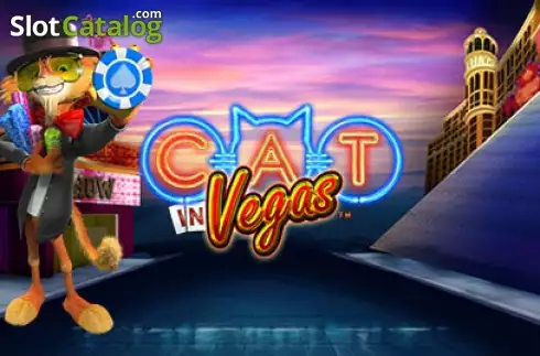 Cat in Vegas